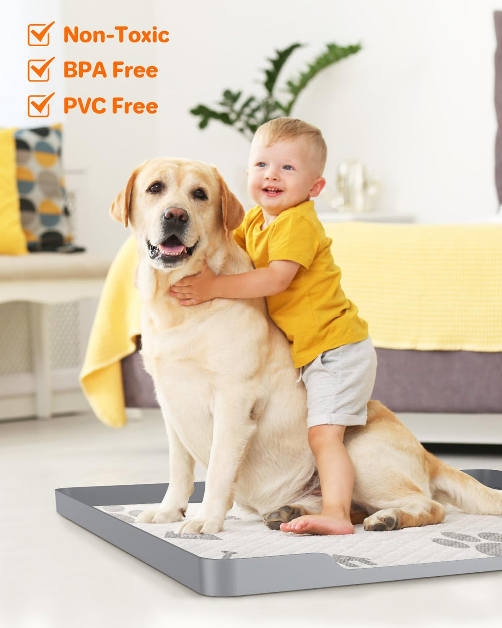 Aisslro tray guards floors from urine with a 1-inch barrier