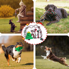 Aitmexcn juguete sonoro navideño Santa para perro.