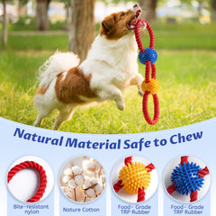 Aitmexcn spiky-ball attachment massages gums while your dog chews.