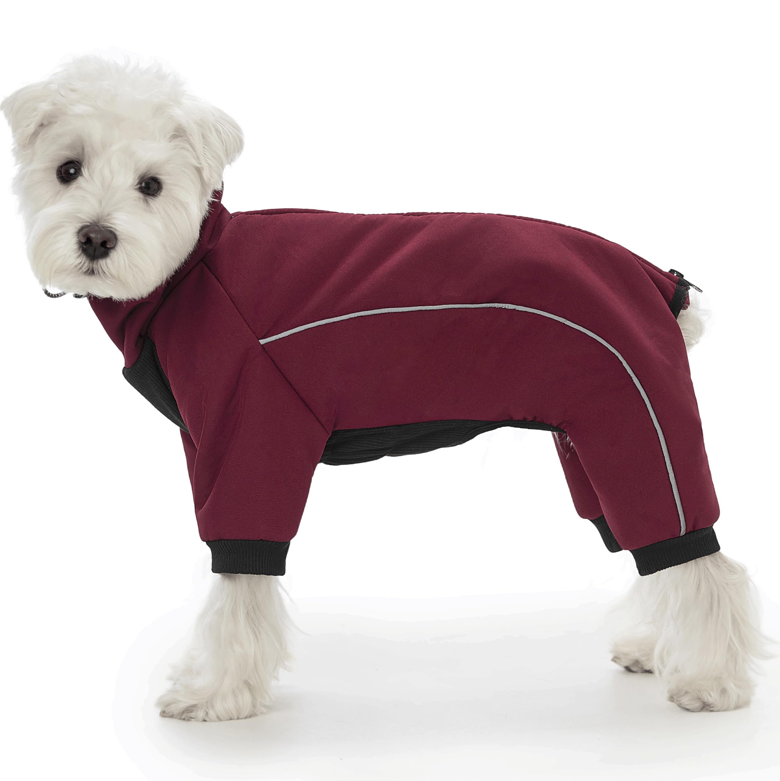 AITOLI four-legged dog winter coat back-zipper provides cozy warmth and weather protection for walks