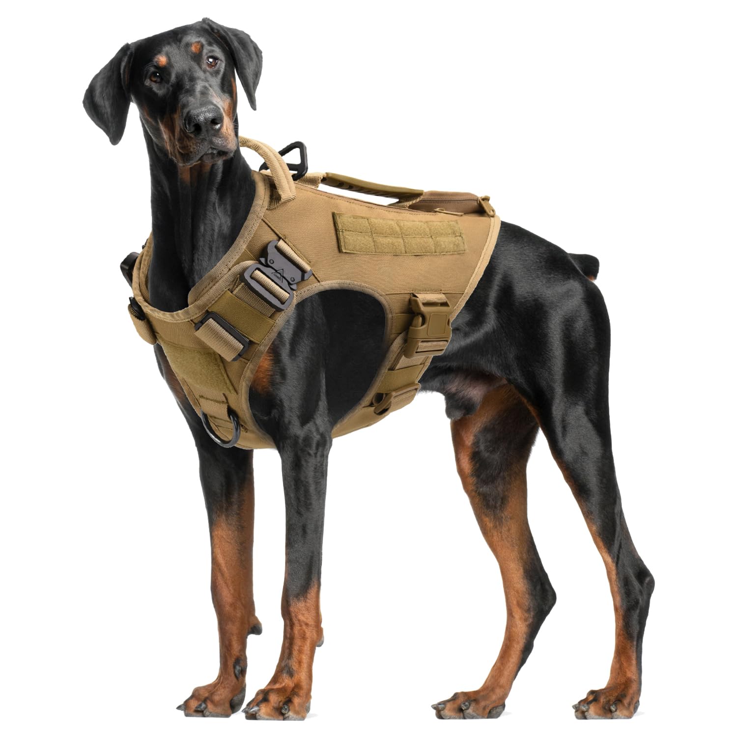 AIWAI sizing guide helps find the right fit for large breeds.