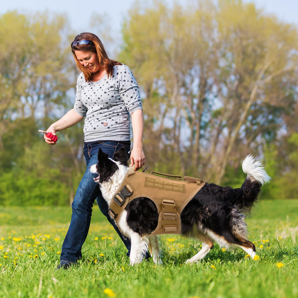 AIWAI Tactical Dog Backpack 1000D material with soft mesh lining improves comfort.