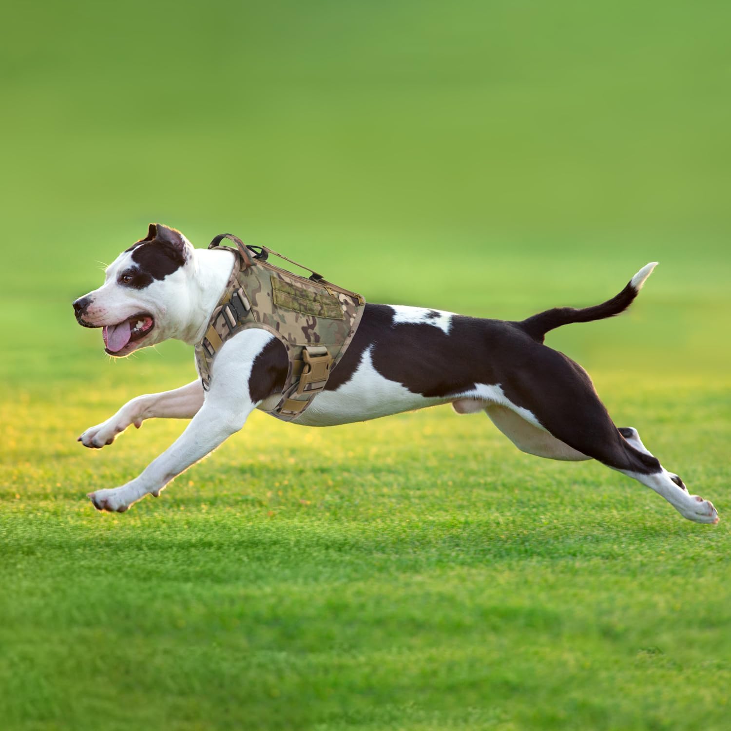 AIWAI Tactical Dog Harness 1000D material offers rugged durability with breathable lining.