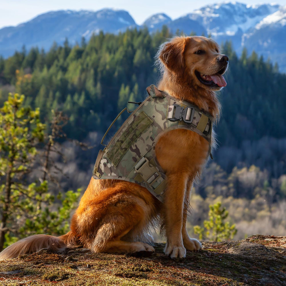 AIWAI Tactical Dog Harness with Molle panels and camouflage for modular gear setup.
