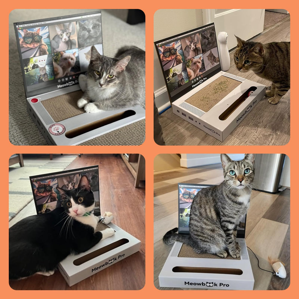 AIWEILUCK Cat Scratcher Laptop shows quick-fold setup for convenient placement.