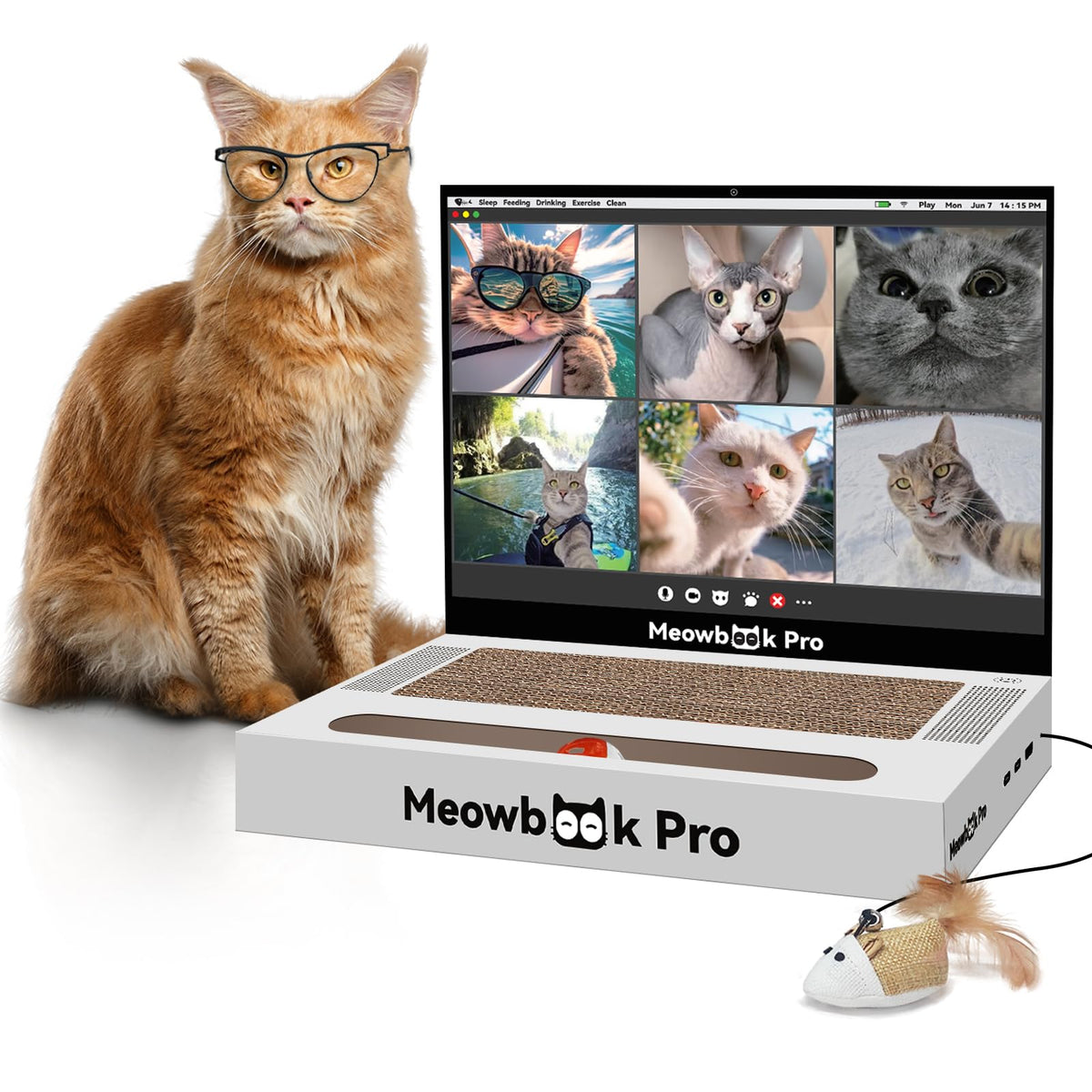 AIWEILUCK Cat Scratcher Laptop toy ready for scratching and cozy cat lounging.