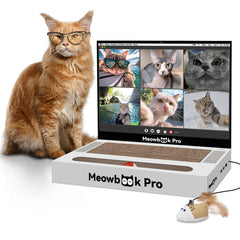 AIWEILUCK Cat Scratcher Laptop toy ready for scratching and cozy cat lounging.