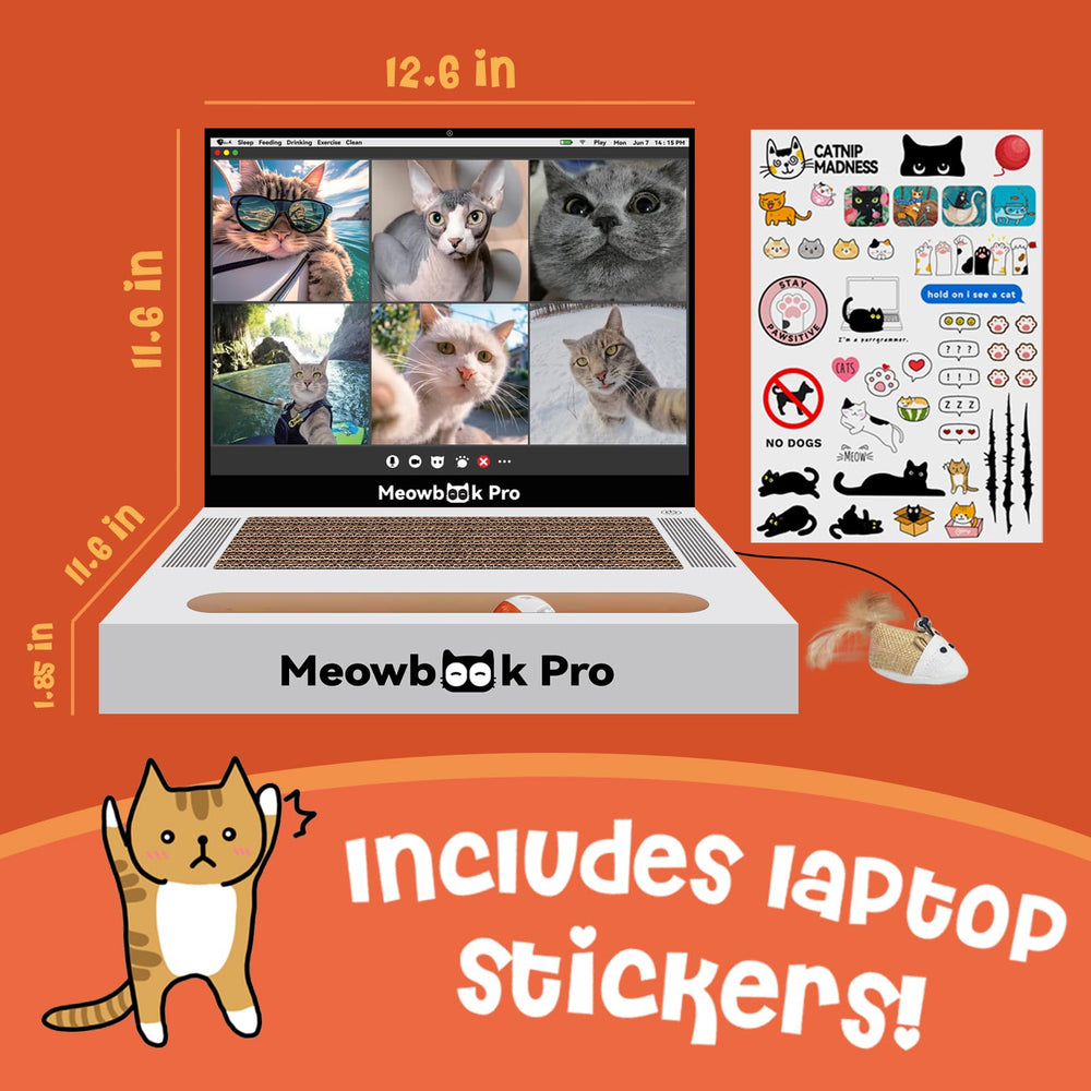 AIWEILUCK Cat Scratcher Laptop video screen highlights engaging play and exploration.