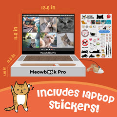 AIWEILUCK Cat Scratcher Laptop video screen highlights engaging play and exploration.