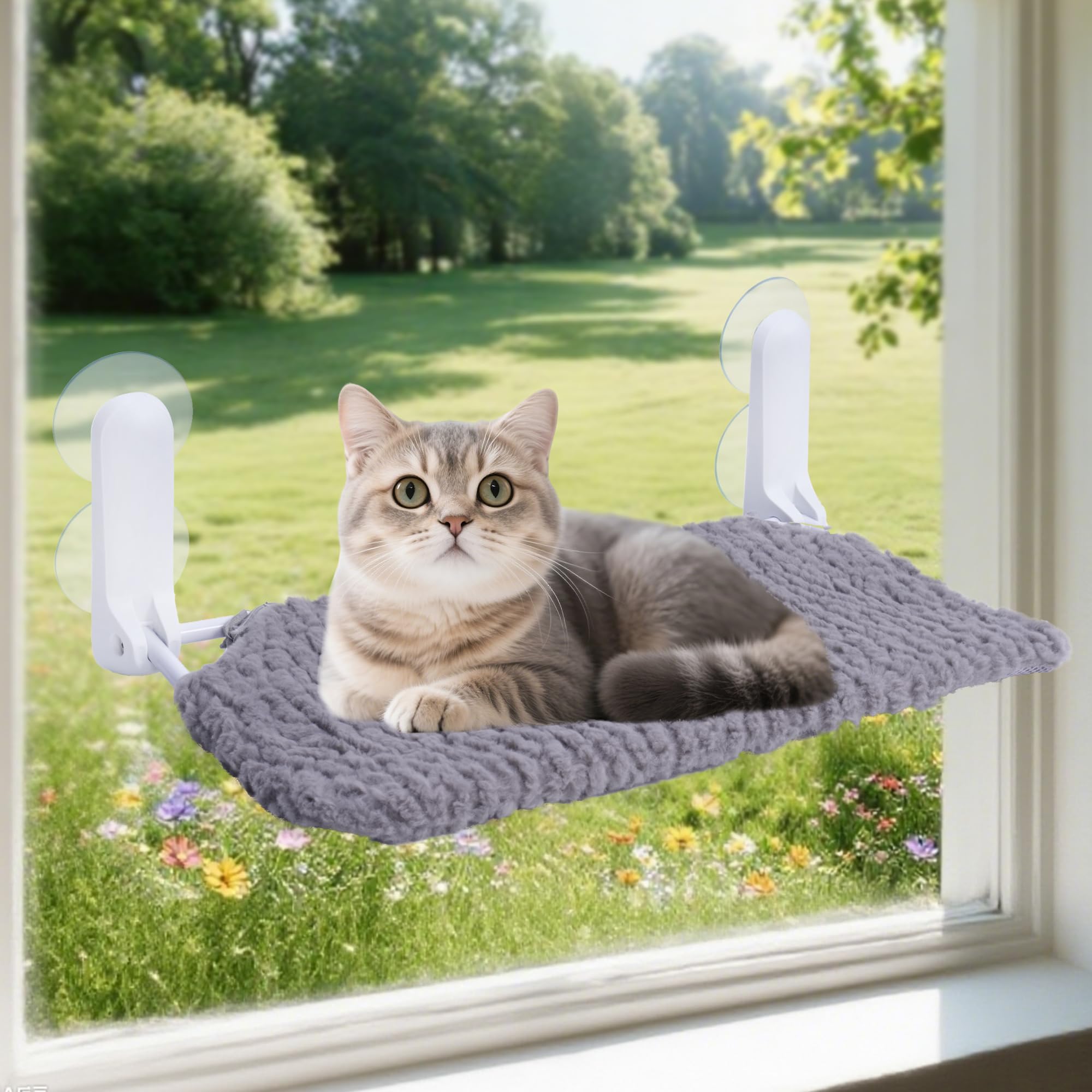 AIWIKIDE Cat Window Perch bracket install enables quick, tool-free setup for sunny apartment lounging.