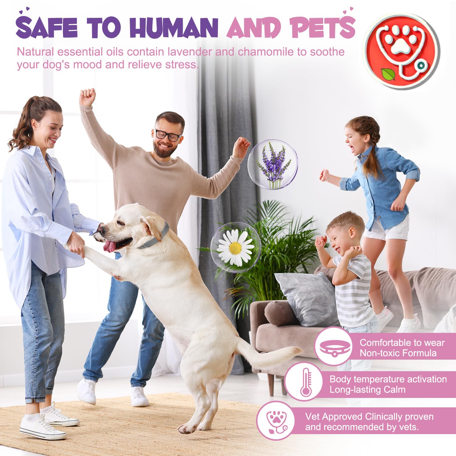 Aiwojiujiu dog calming collar worn on neck during everyday activities