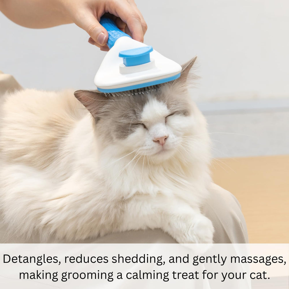 AIXINPET brush bristles are safe on sensitive skin to prevent scratches.