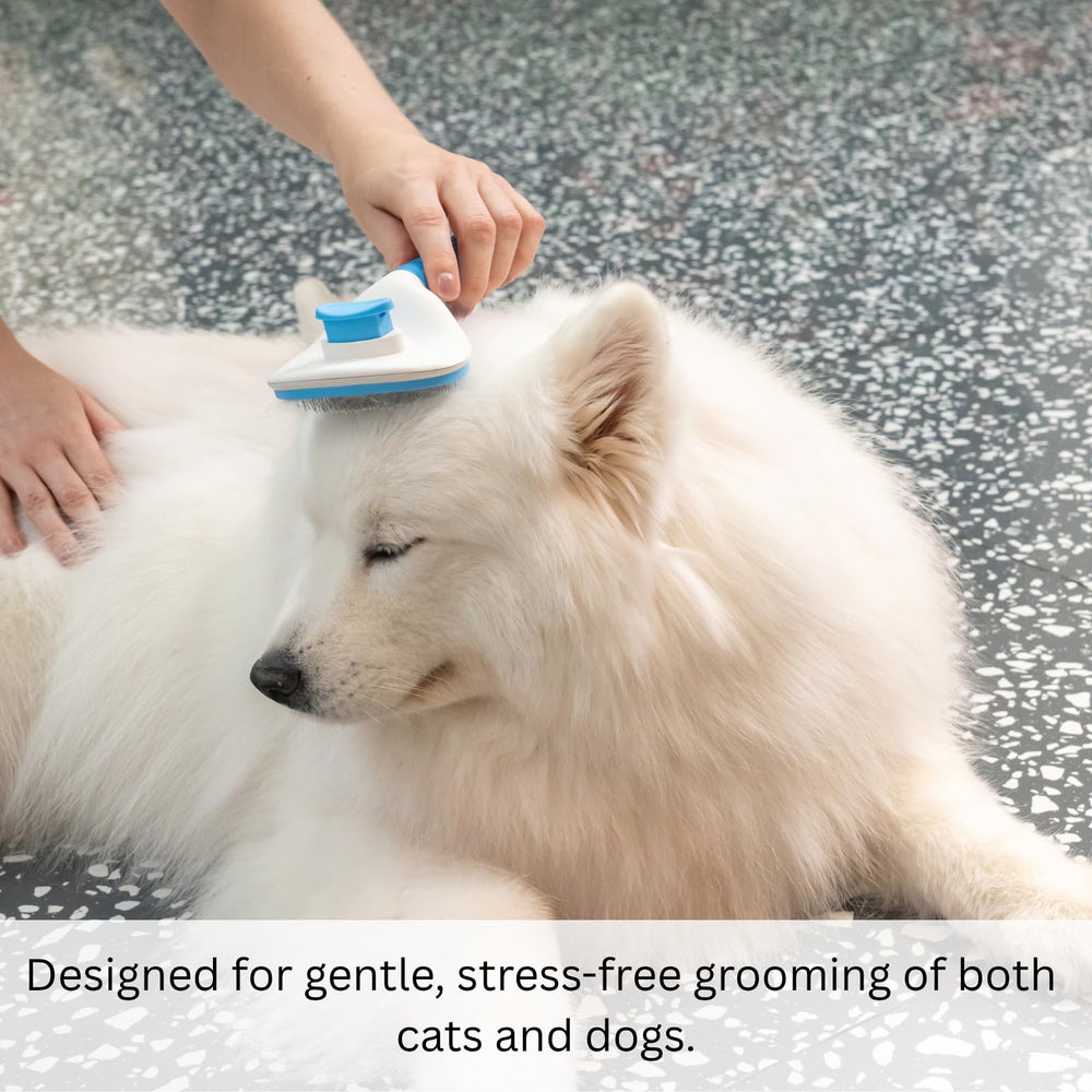 AIXINPET compact brush is easy to store between grooming sessions.