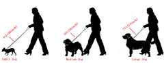 AIYIDI gold leash with genuine leather handle for comfortable grip.