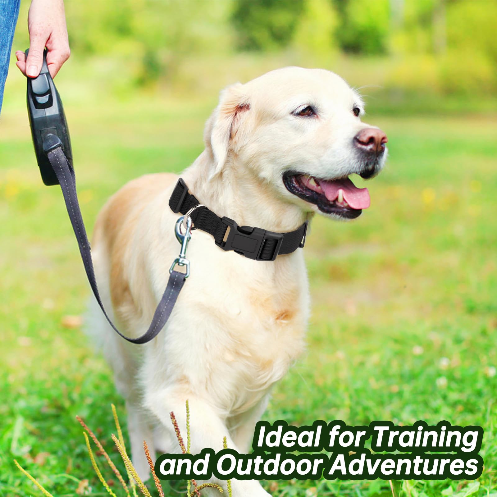 Ajrwiiy replacement strap supports consistent training with PetSafe receivers