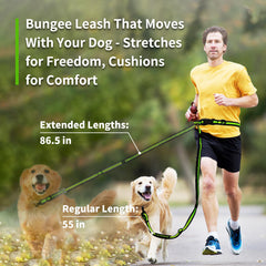 Ajvvf all-weather reflective leash improves visibility during dawn or dusk walks.
