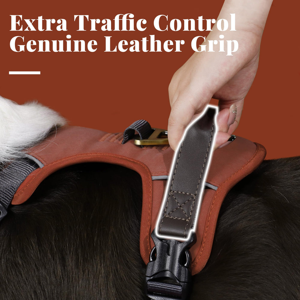AKAILEA breathable mesh padding keeps dogs comfortable.