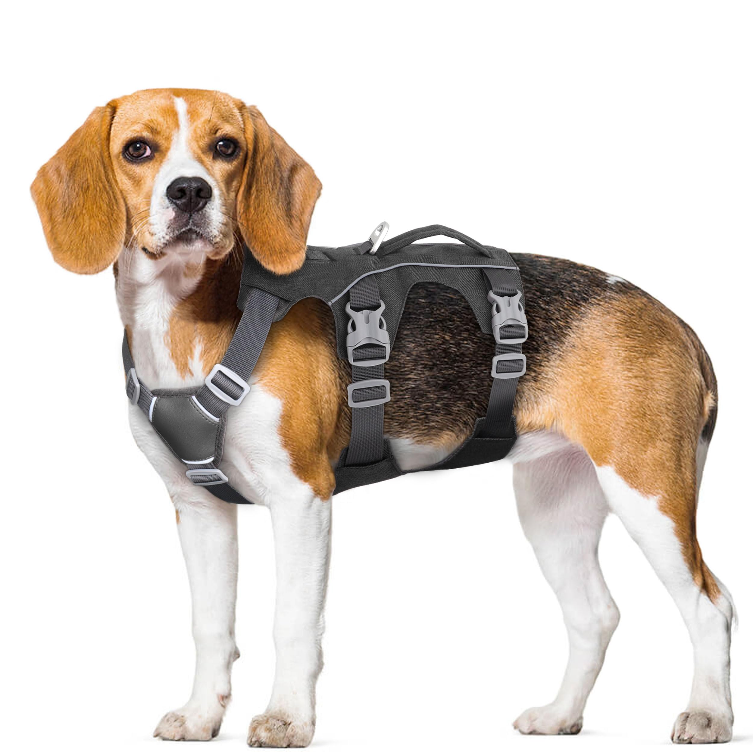 AKAILEA quick-release buckles enable easy on-off during outings.