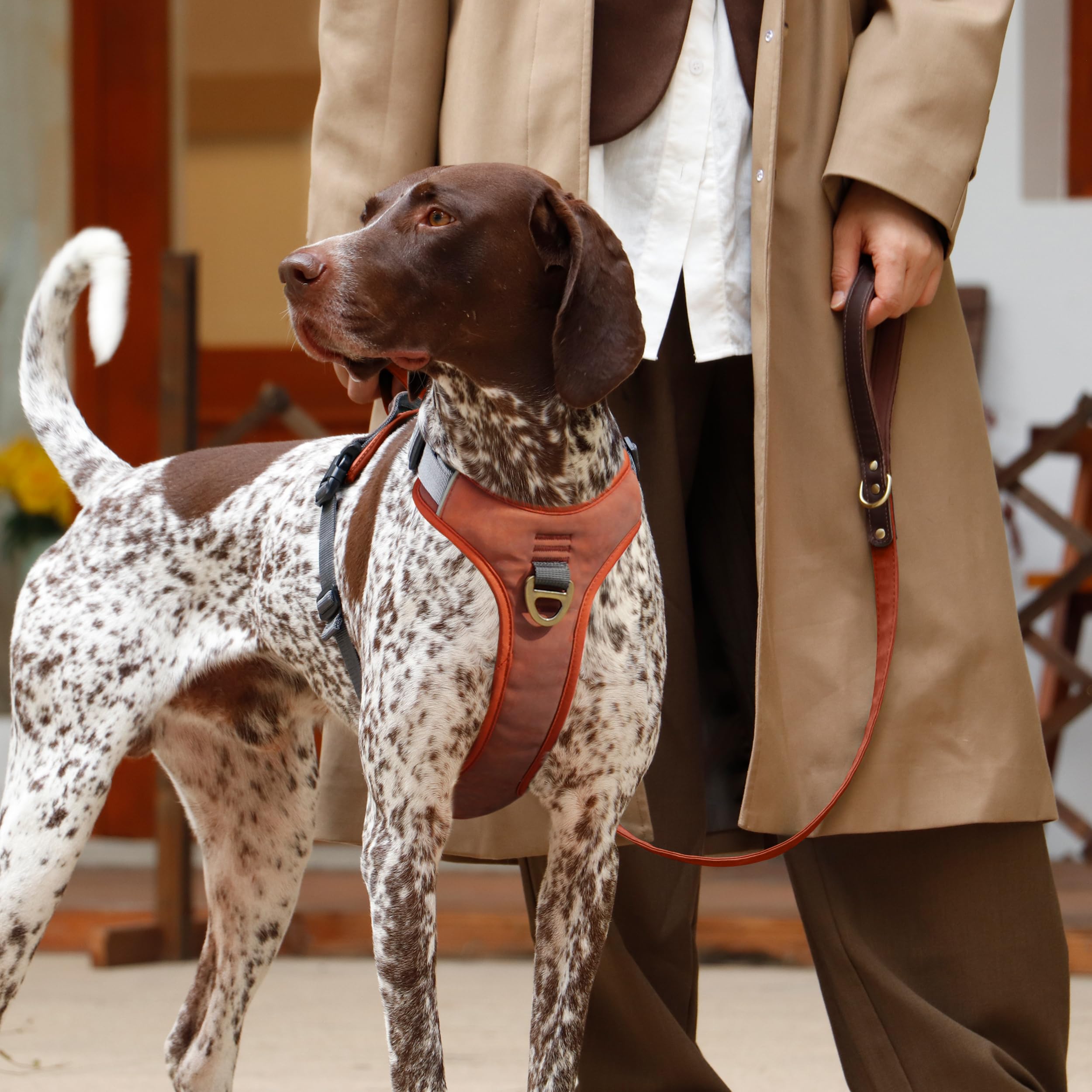 AKAILEA no-pull harness back clip supports calm walks.