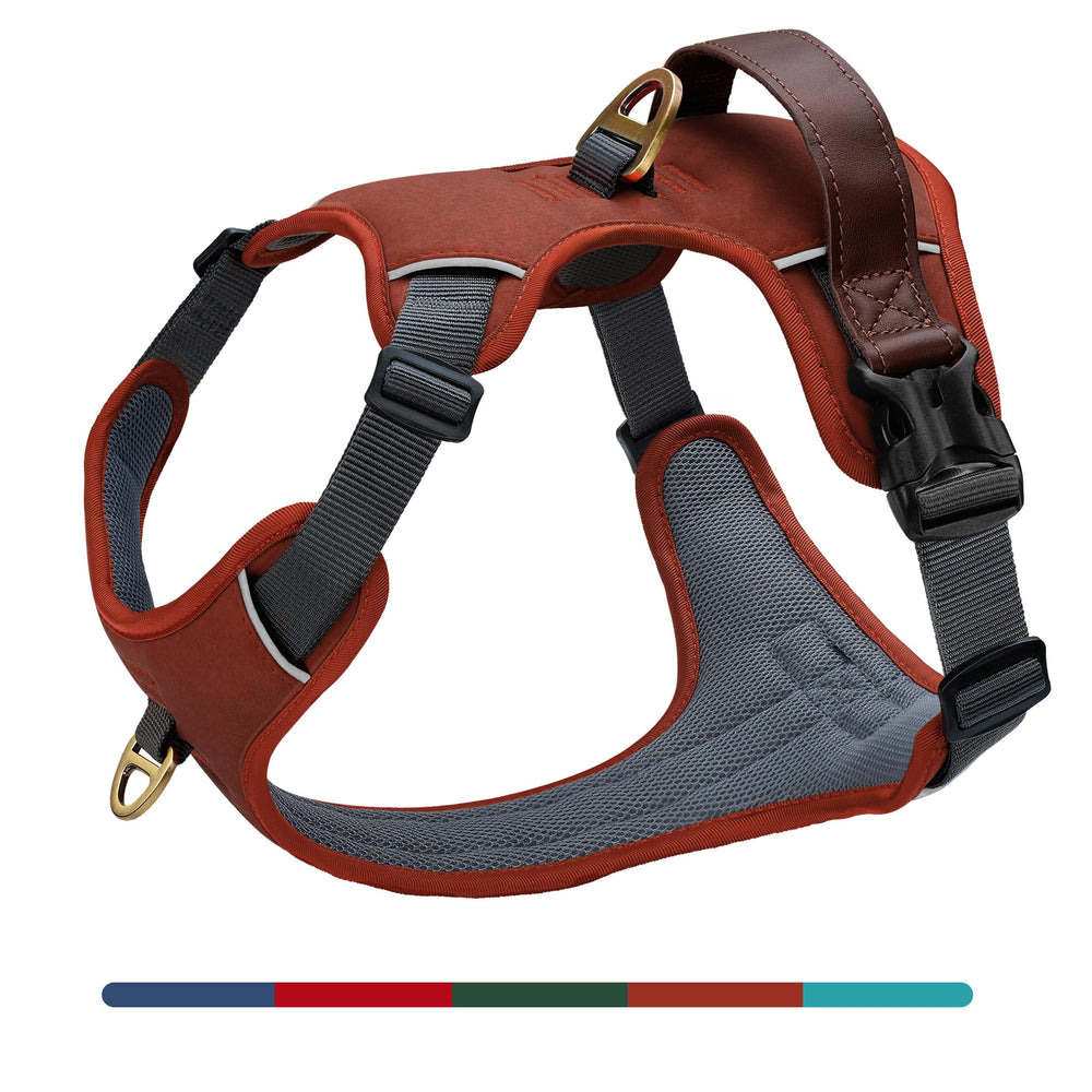 AKAILEA no-pull harness front clip enables controlled walking.