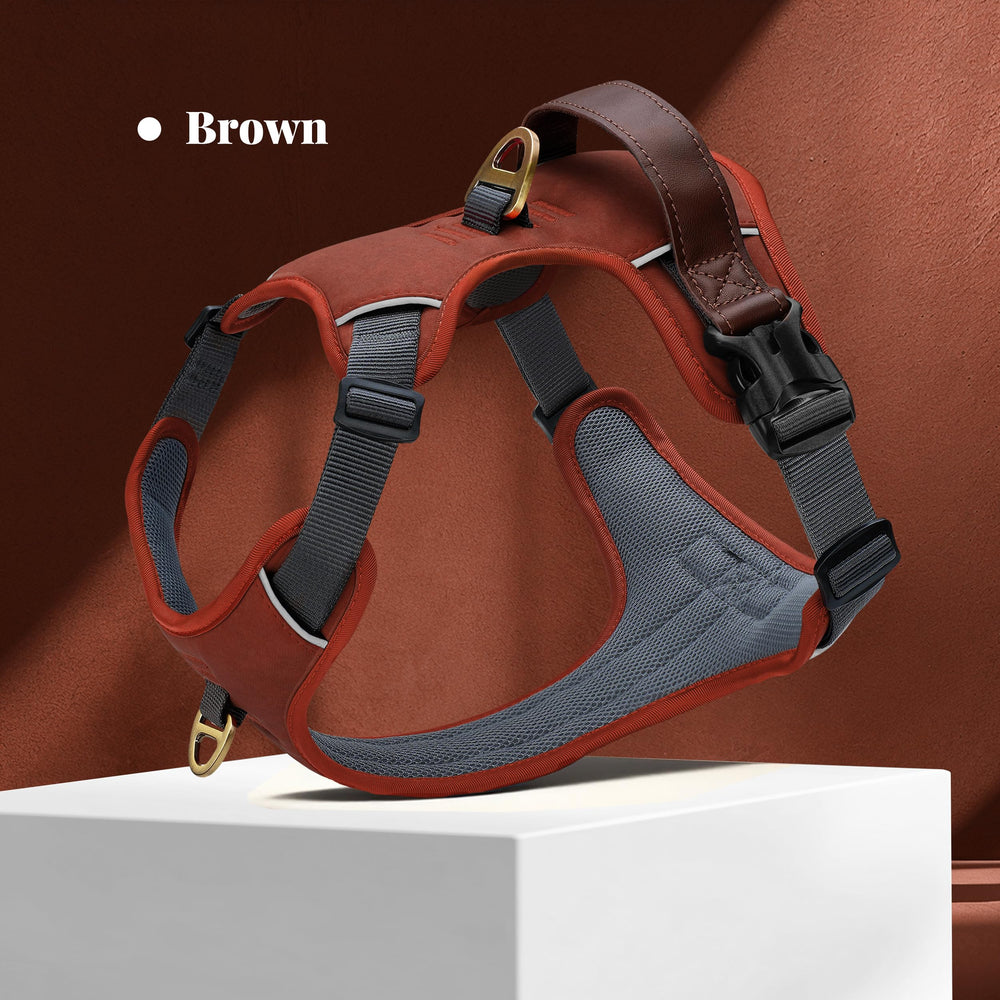 AKAILEA two metal leash clips offer versatile control.