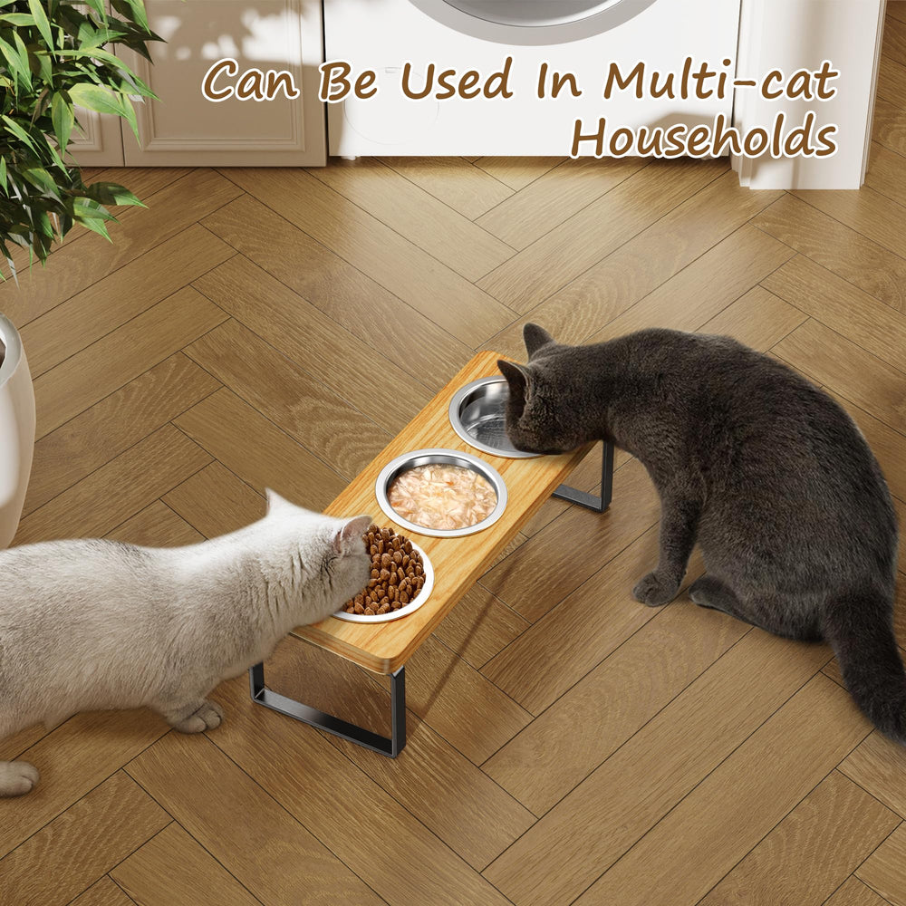 AKAOLA ideal for small cats and puppies during cozy indoor mealtimes.