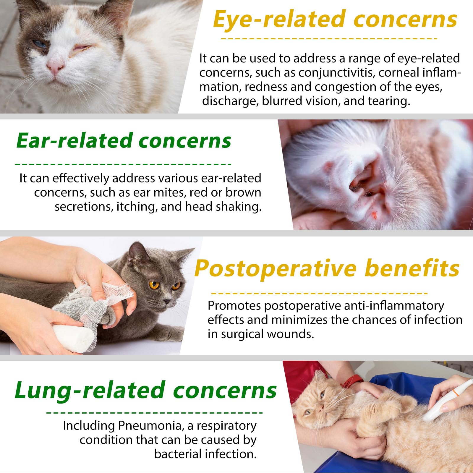 Akareni cat antibiotics liquid pouring scene showing ease of use with meals.