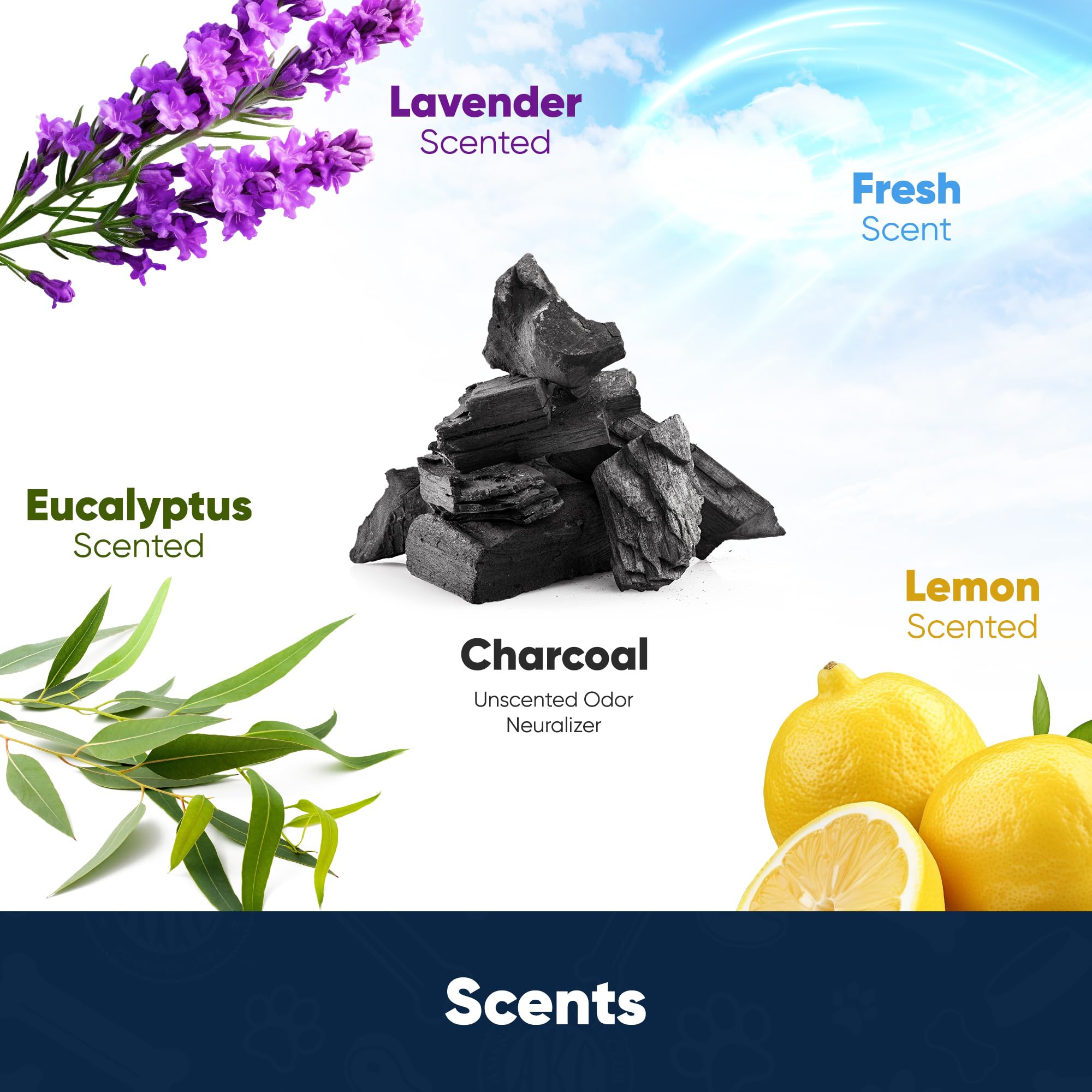 AKC 22x22 inch lavender-scented puppy pad ready for setup