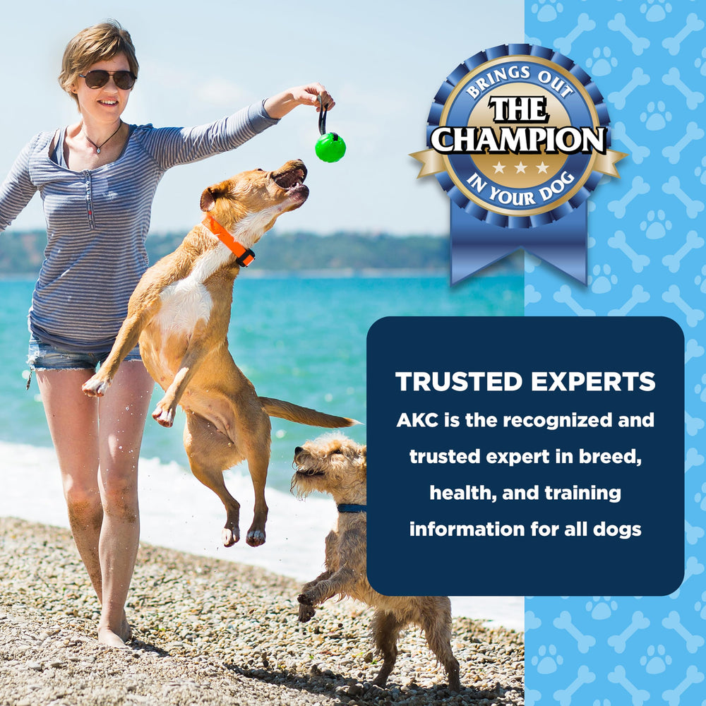 AKC Dentacare dental health support snack for routine chewing sessions.