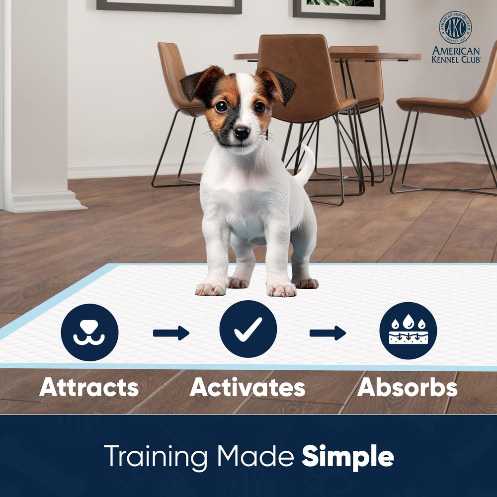 AKC puppy training pad close-up of quick-dry gel in action