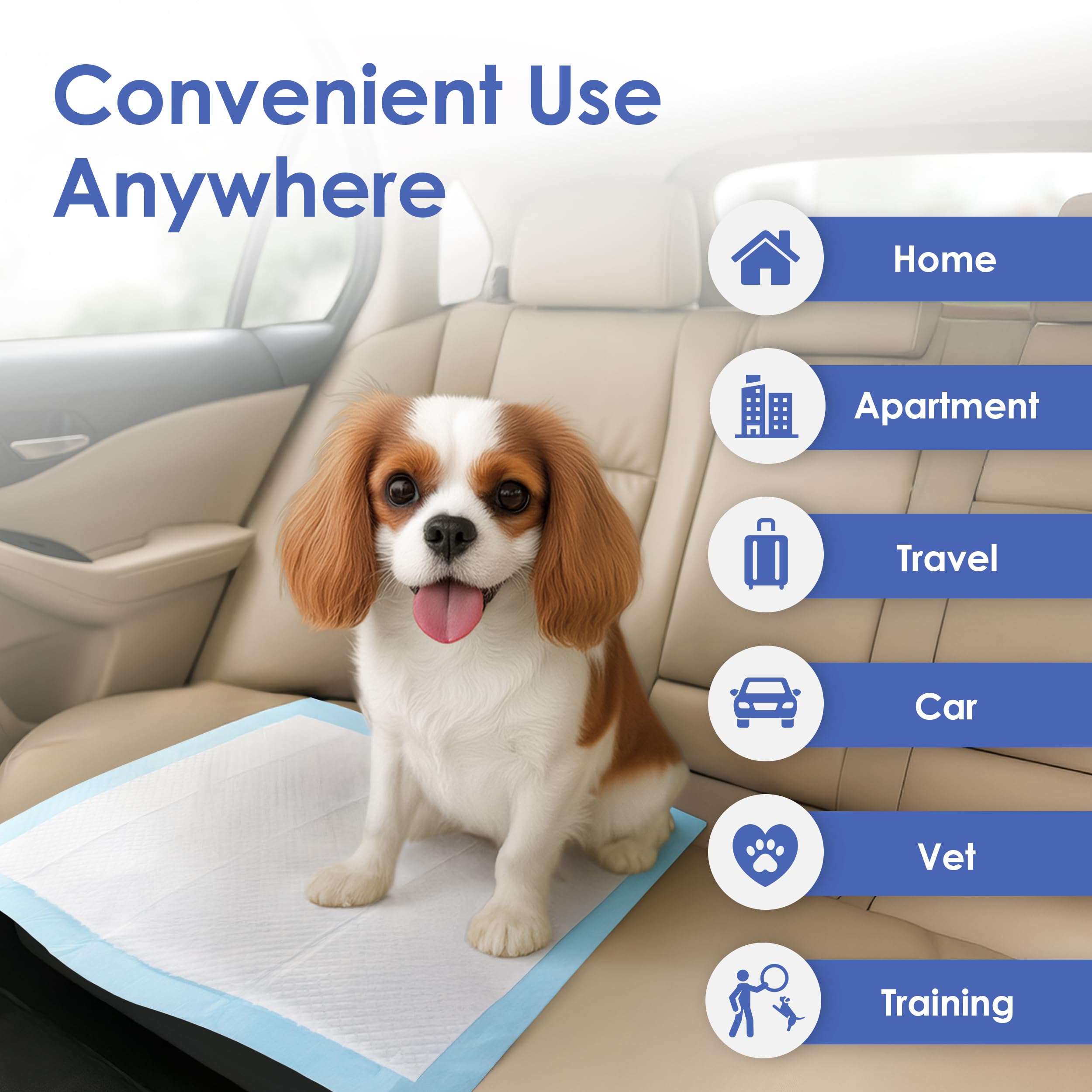 American Kennel Club scented training pad pack of 100 offers convenient multi-use coverage.