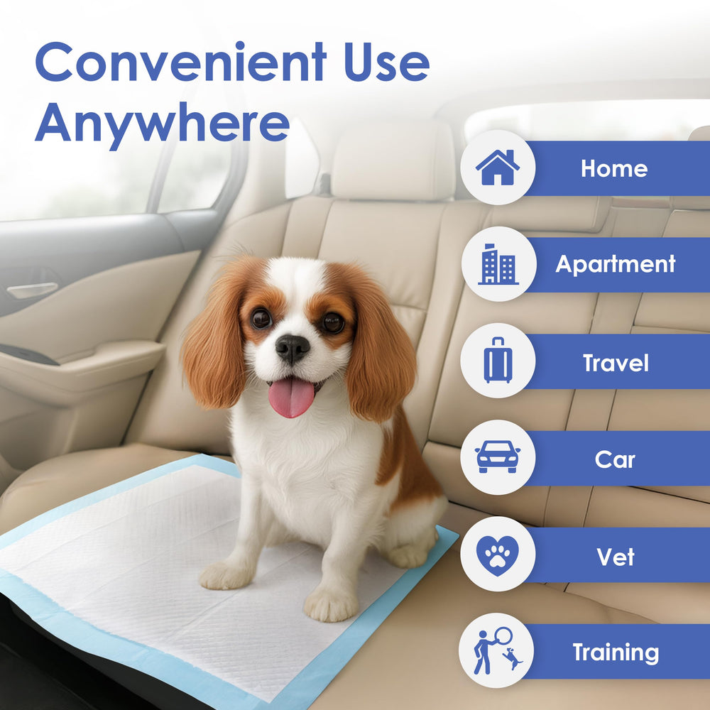 American Kennel Club scented training pad pack of 100 offers convenient multi-use coverage.