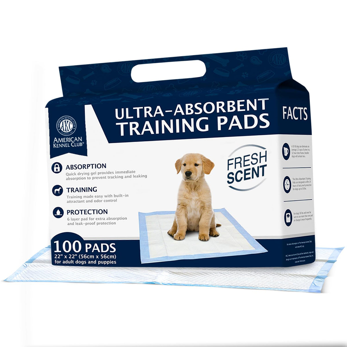 American Kennel Club scented training pad top view provides spacious training area for puppies.