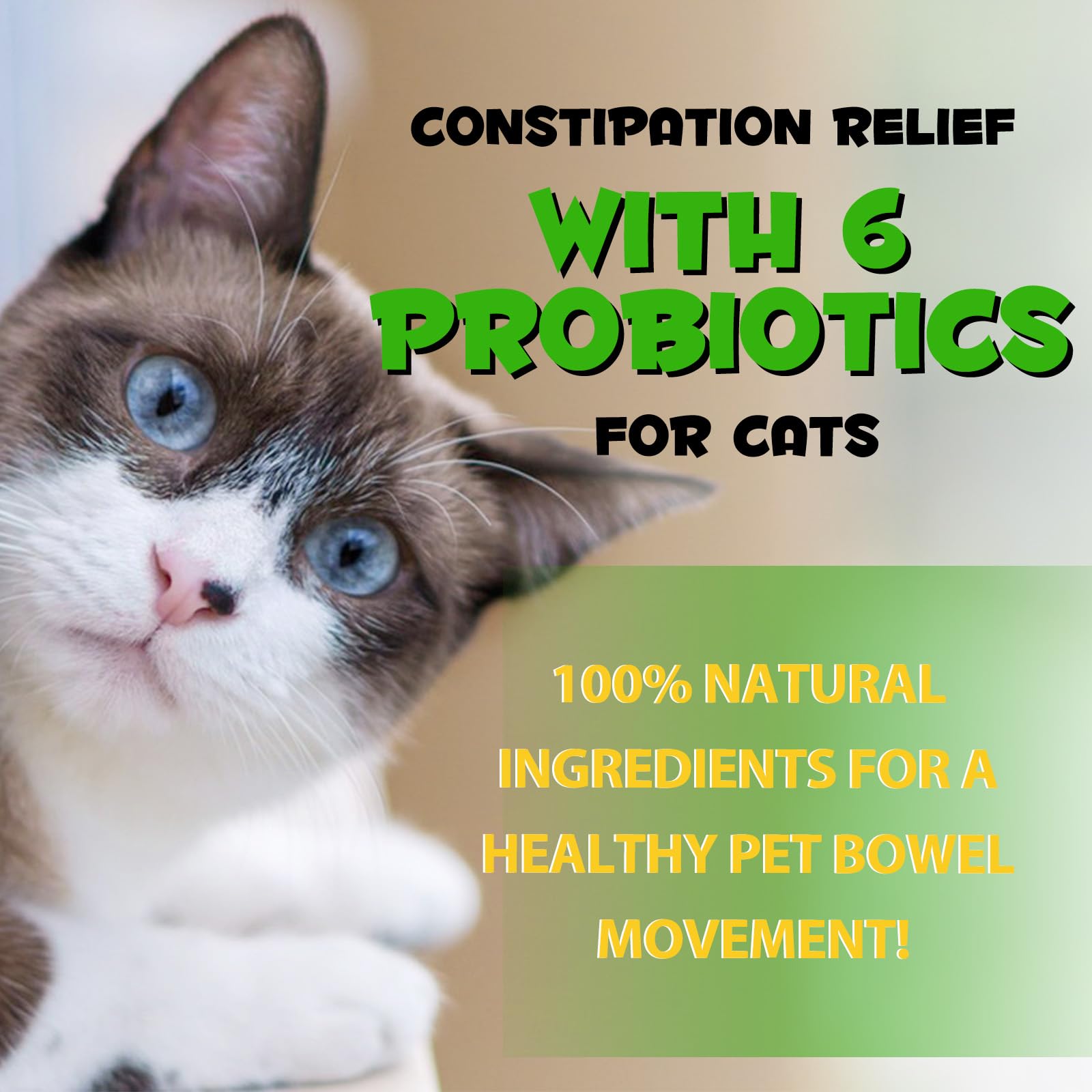 Akeeronn cat laxative full bottle label for clear dosage and safety details.