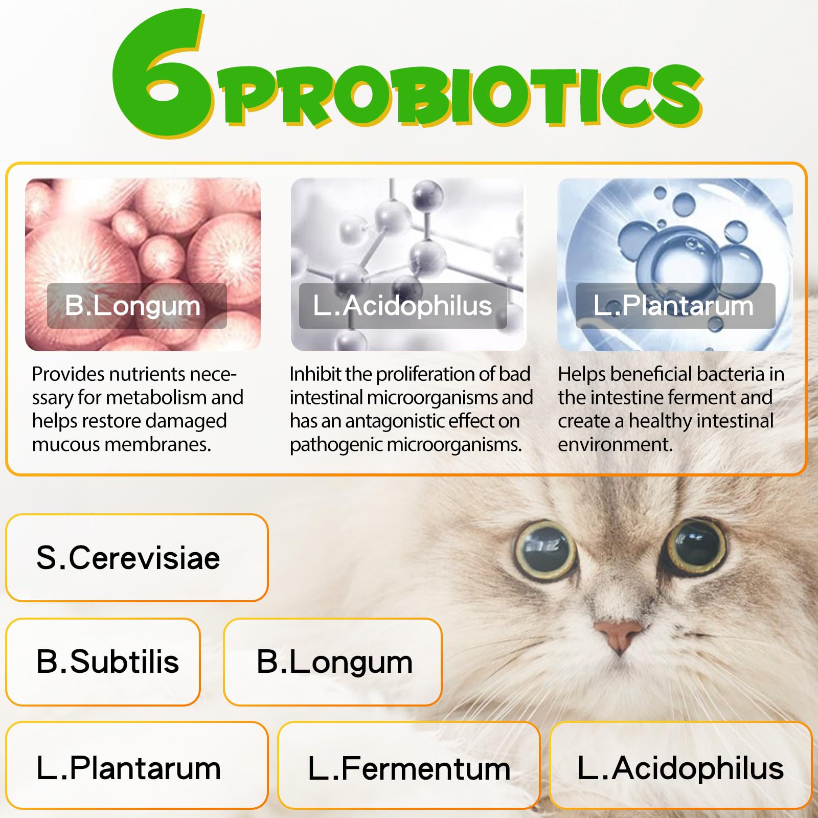 Akeeronn cat laxative mixing-with-food shows easy integration into meals.