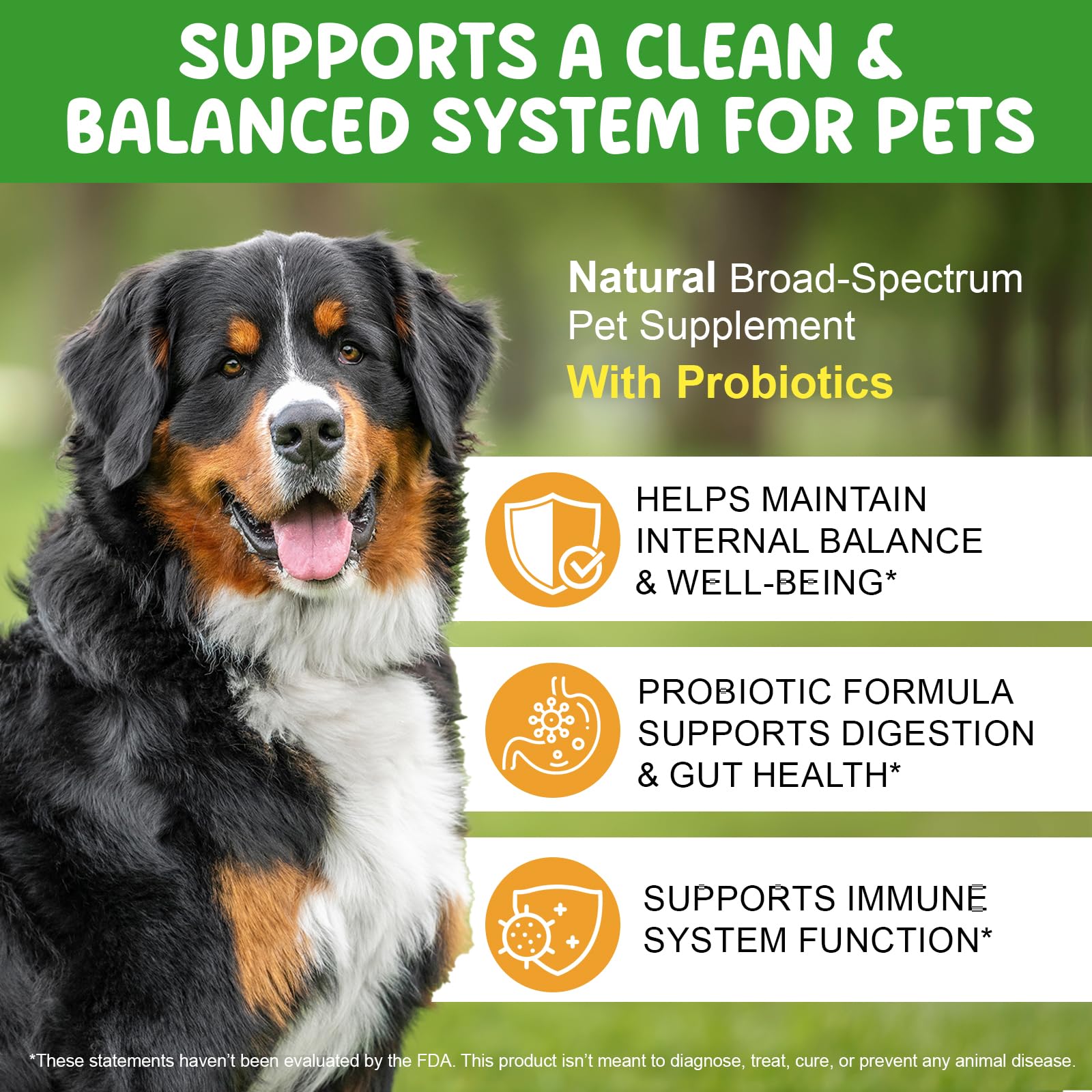 Akeeronn gut health graphic summarizing probiotic benefits for dogs