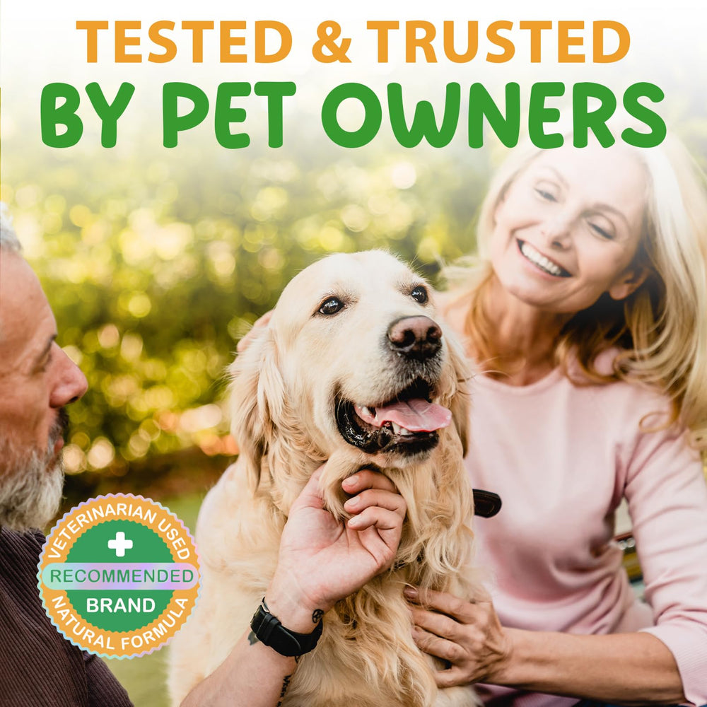 Akeeronn drops mixed into dog food for gentle digestion support