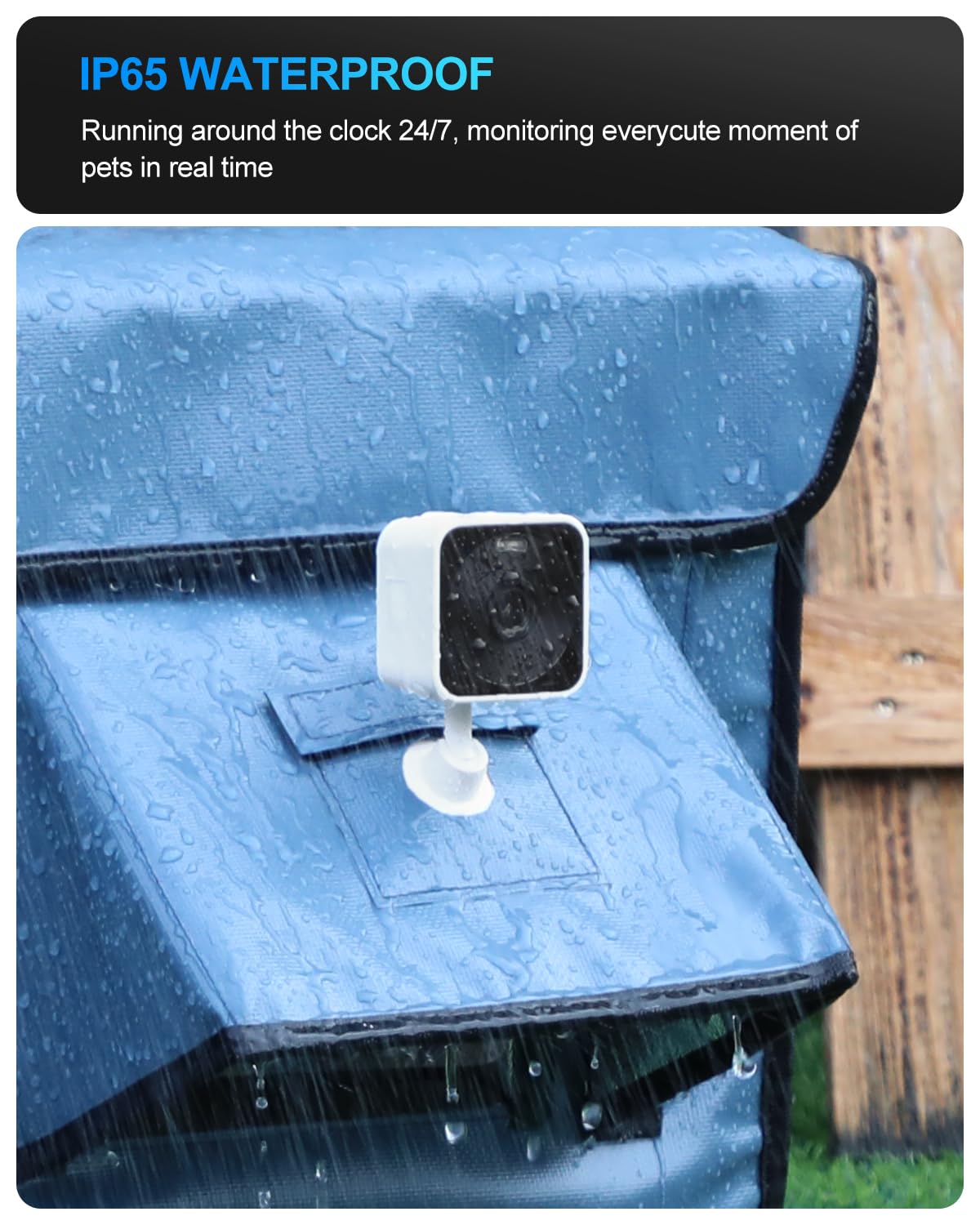 Akentio Pet Camera offers cloud and SD storage options for videos.