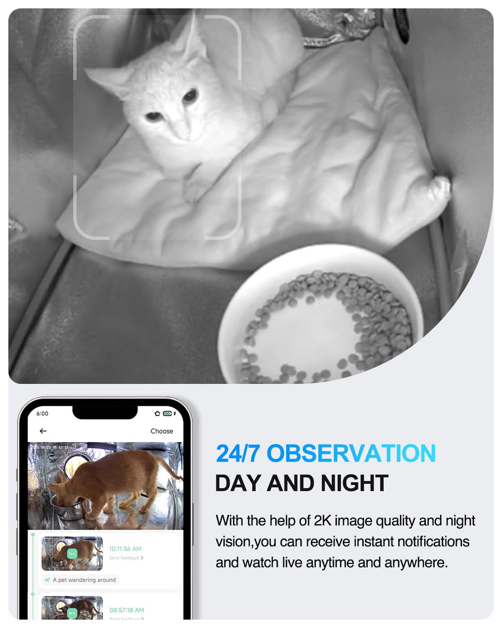 Akentio Pet Camera two-way audio lets you talk to your cat remotely.