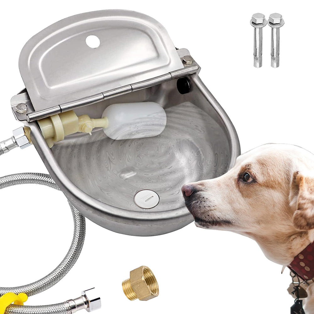 AKUATUZ pets enjoying water use scenario for hydration on demand