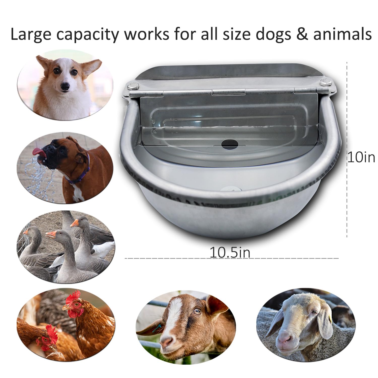 AKUATUZ stainless-steel water trough closeup showing corrosion resistance and cleanability