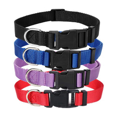Alainzeo four-pack nylon dog collars in black, soft and durable for daily walks.