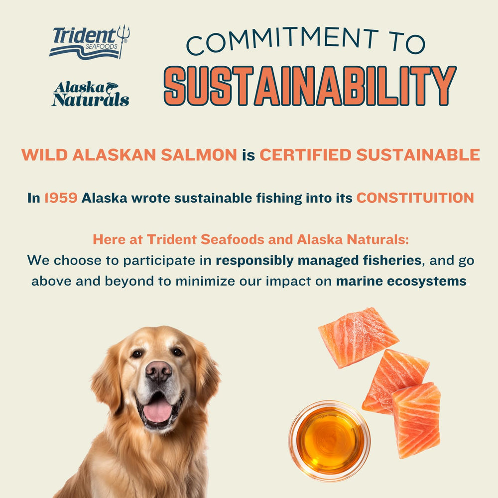 Alaska Naturals dog coat and skin care with salmon oil bottle close-up.