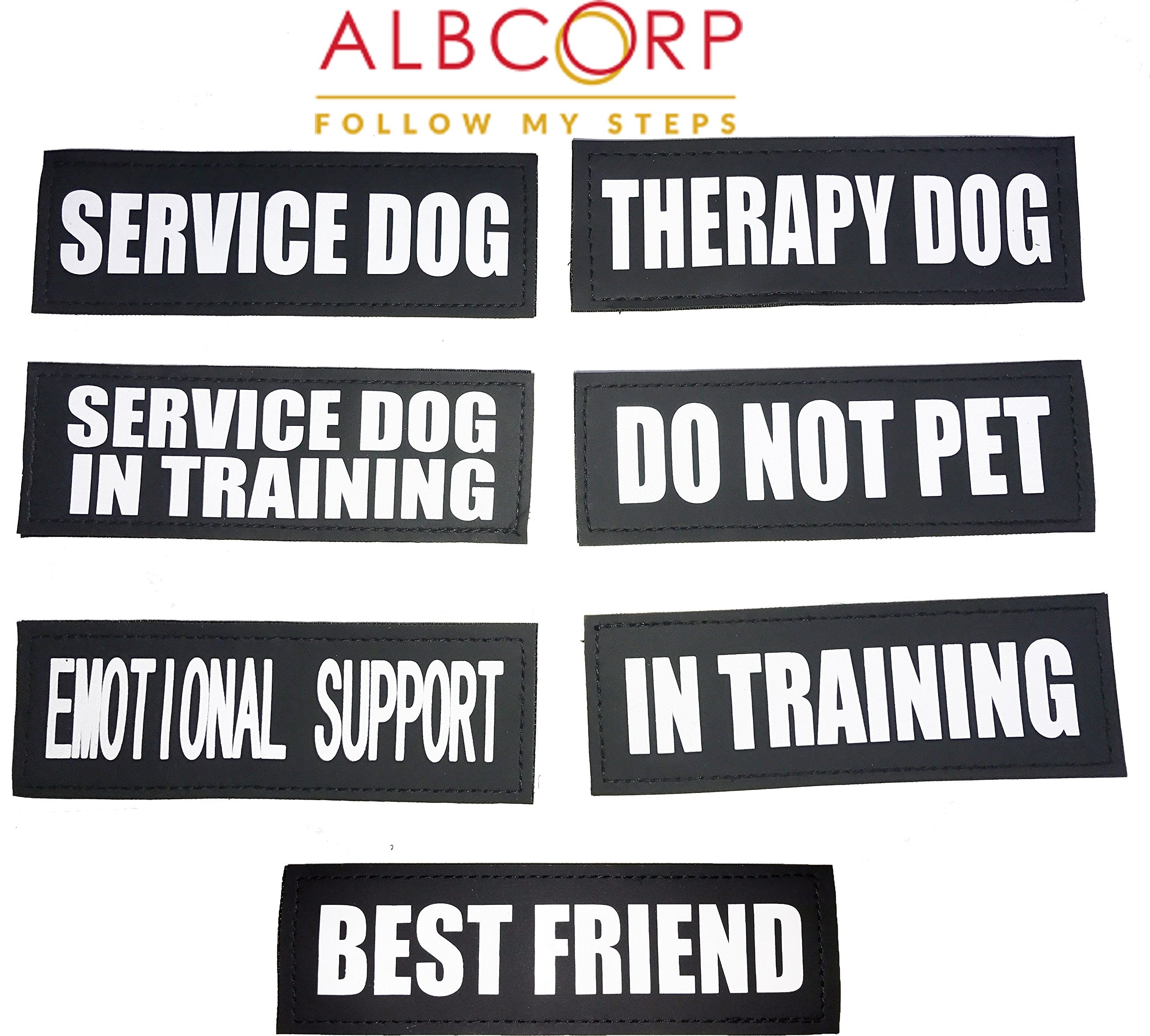 ALBCORP patches on vest illustration showing interchangeable status options