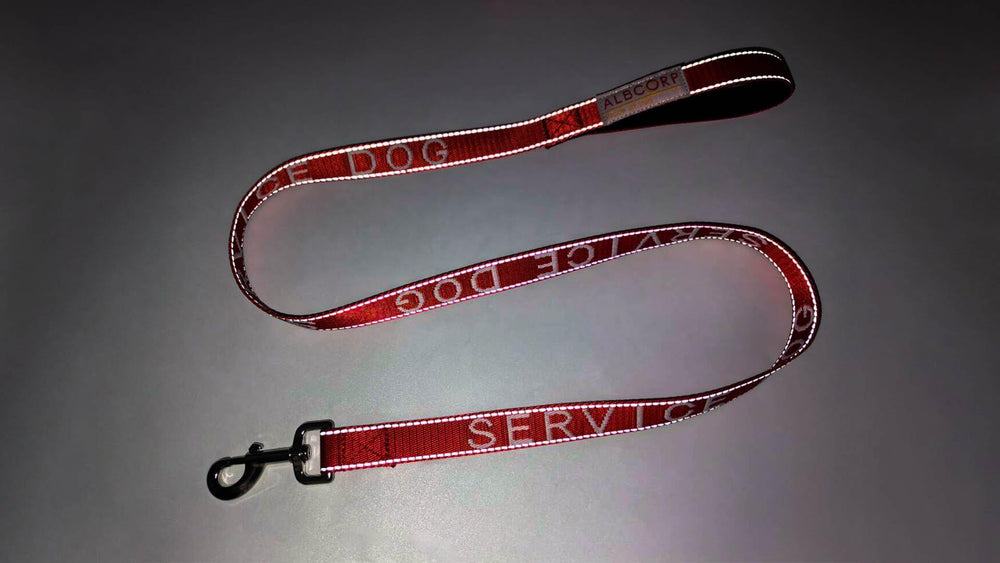 ALBCORP service-dog-leash-for-running-walking demonstrates versatility during active outings.