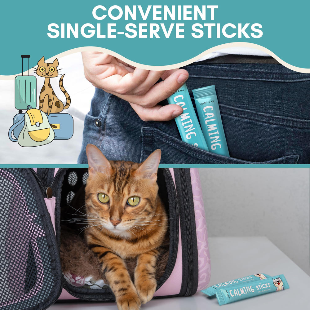 Car ride snack from ALBERT & MIA helps smooth transport for cats.