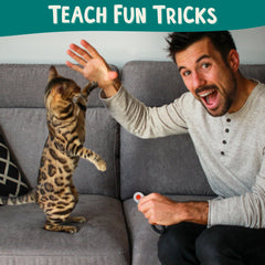 ALBERT & MIA Target Stick Clicker guides cats through commands and tricks