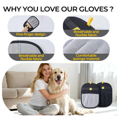 Aleena Glove on couch cleaning gathers surface fur quickly