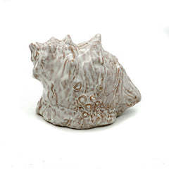 ALEGI aquarium cave underside view reveals easy cleaning and subtle color detail.