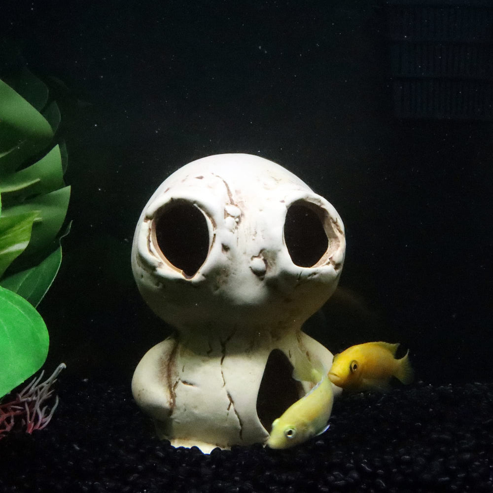 ALEGI dimension-4-7x3-9x2-8 fits compact tanks while providing hiding spots.